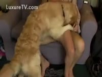 Naughty non-professional sucks pecker in advance of having beast animal sex